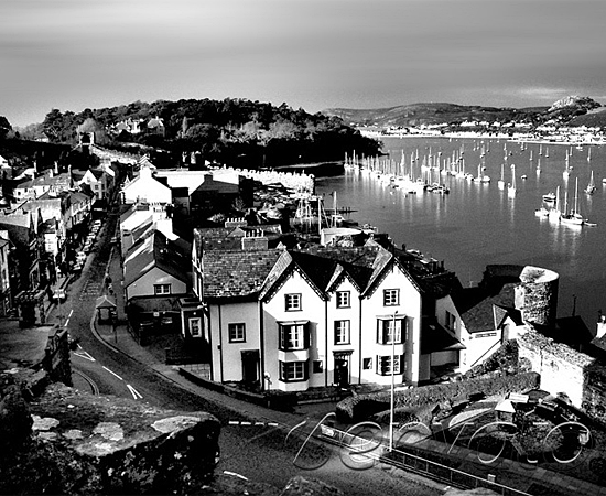 获取短信验证码平台